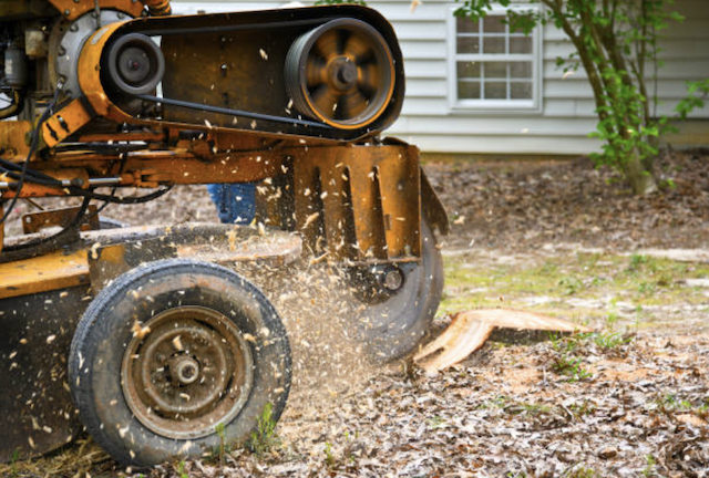 stump grinding onondaga ny